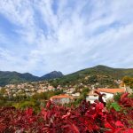 Ognuno ha i maestri che si merita